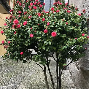 casa-domaso.it-lombardy.com/